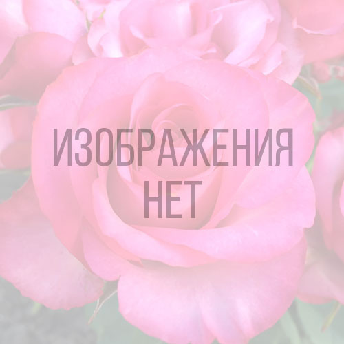 Лада